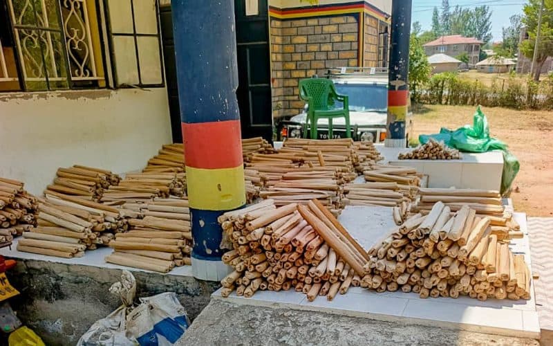 Six Men Charged Over Alleged Preparation to Commit Felony in Homa Bay