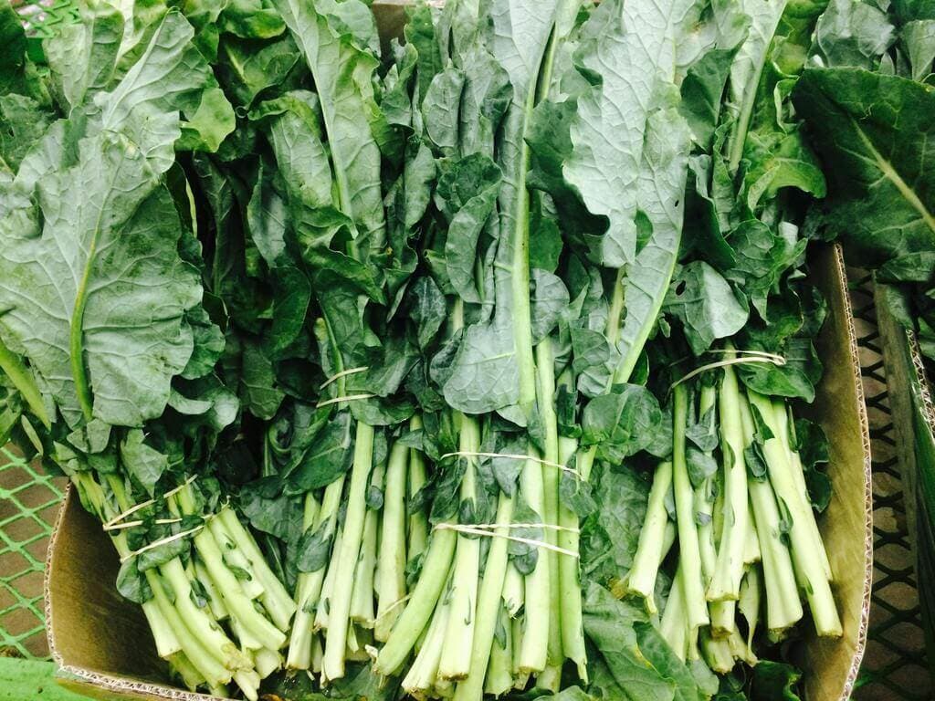 Pest-damaged vegetables poisoning Kenyans