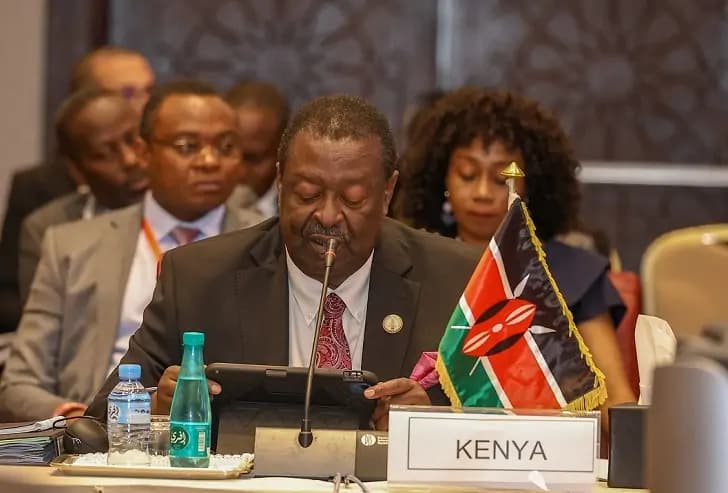Mudavadi pledge to protect rights & welfare of Diaspora Kenyans