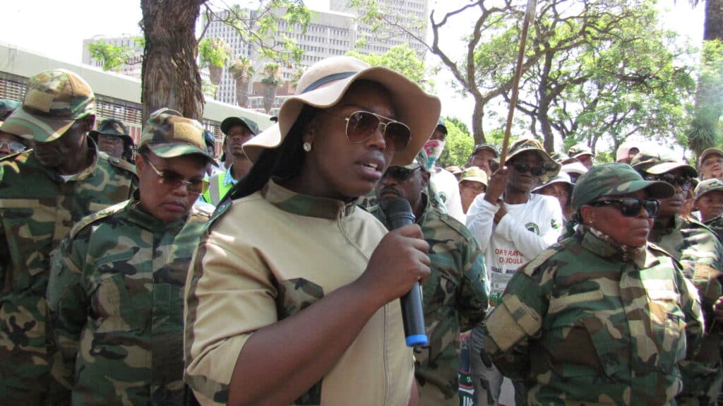 Dudula Operation: Gang chasing ‘black foreign Africans’ out of South Africa