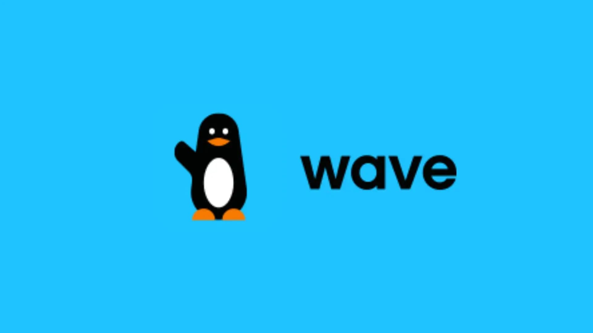 Wave Secures $137M in Debt Financing