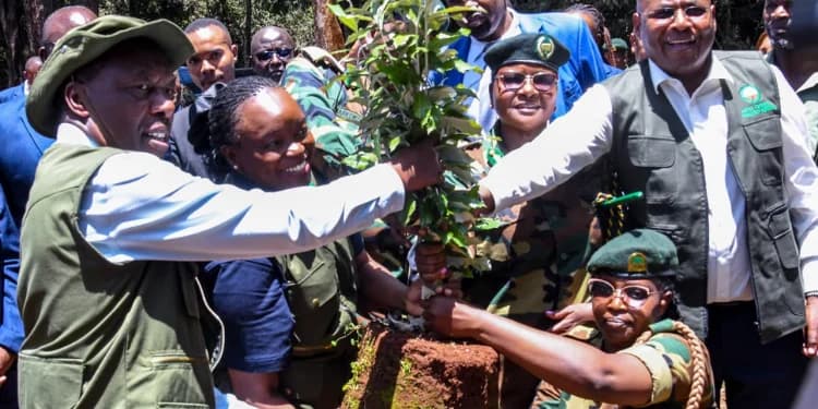 Environmental Action Takes Centre Stage as Kenya Marks Mazingira Week