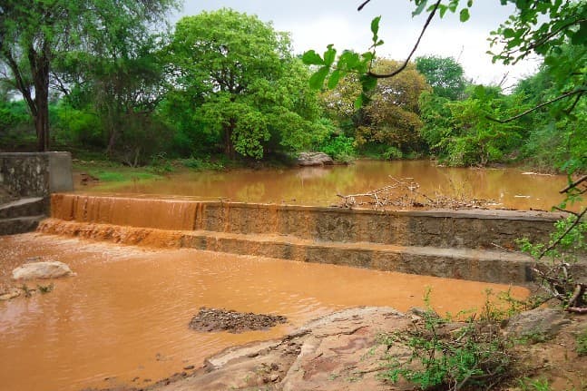 Water harvesting techniques for smallholder and large-scale farmers