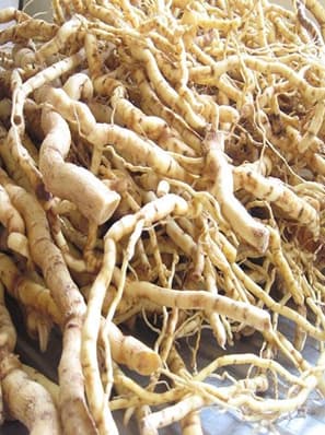 Kakamega organisation recruiting Mukombero farmers to supply 100T/year German market