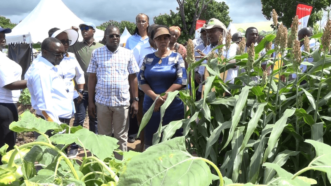 Stakeholders strengthen partnerships to advance food security through innovation