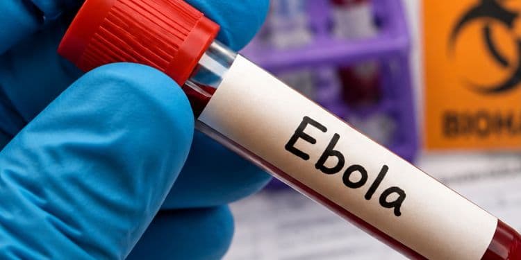 Trump’s Ebola Plan Sparks Global Clash as WHO Rejects His Orders