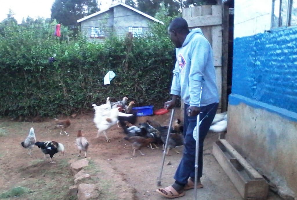 Aloe vera keeps off poultry diseases