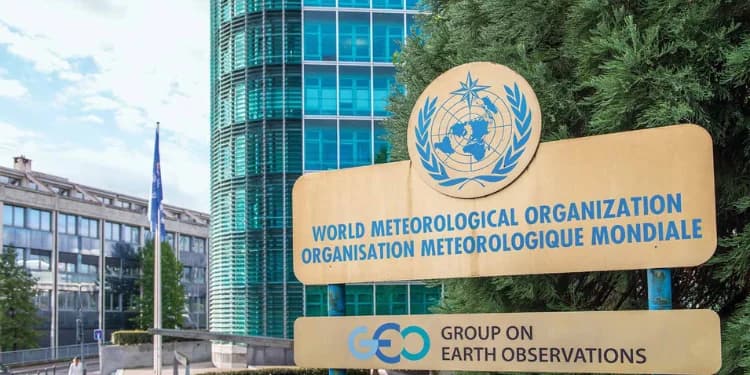 WMO Reveals When El Niño Will Peak, Says It Will Be Strongest Since 1950