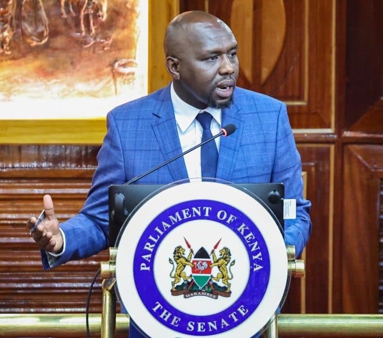 1,189 goons sentenced since 2022, Murkomen reveals
