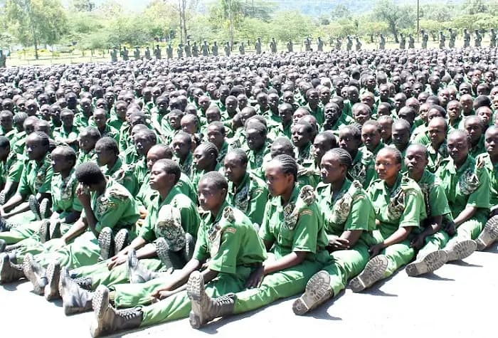 1121 Job Openings Available for NYS Graduates in Australia