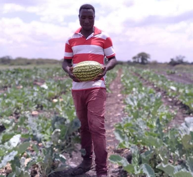 Farmer revamps pest control to double watermelon harvest