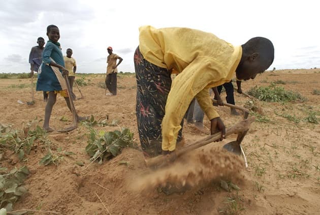 Back in the Day, Tilling Land Was a Communal Activity Characterised by Song and Dance