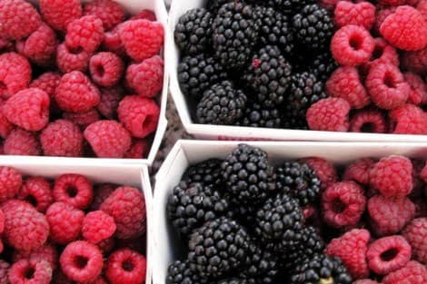 Report: UK’s major seasons and events this year led to increased imports of raspberries from Kenya