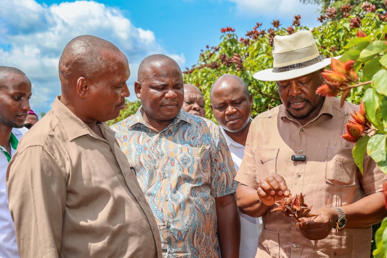 Kenya outlines plans to boost bixa production to 3000 tonnes