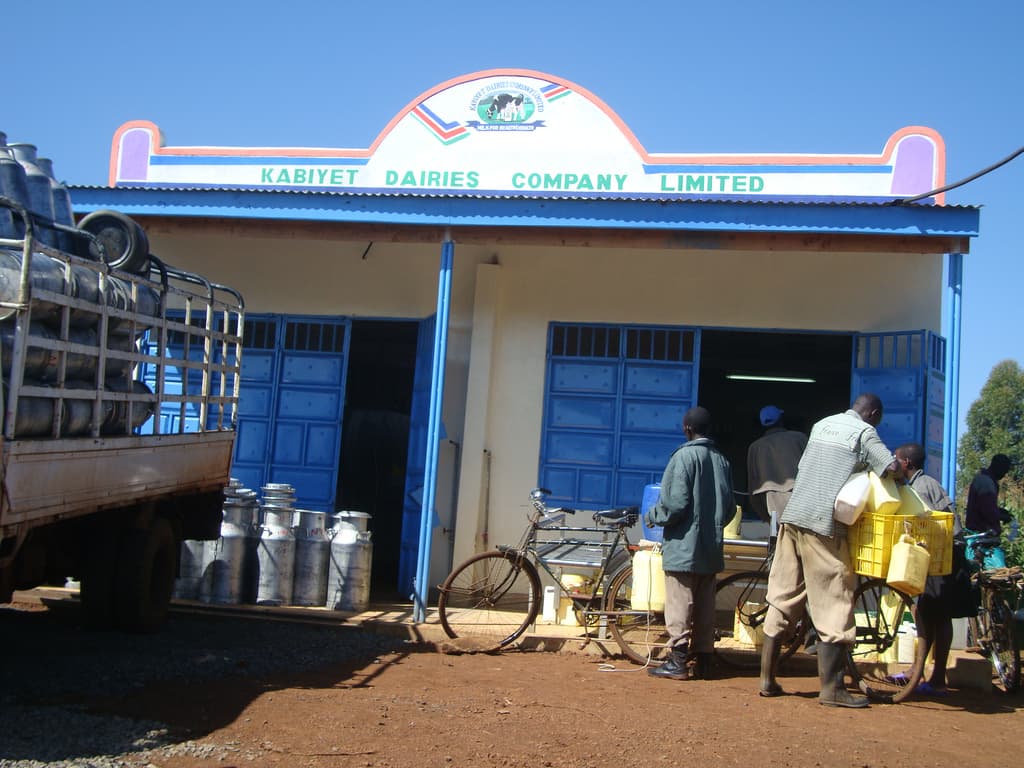 How farmer cooperatives help growers triple yields