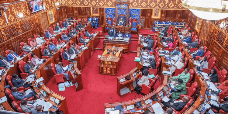 Senate Takes Stand On Proposed Term Limits for Nominated MCAs