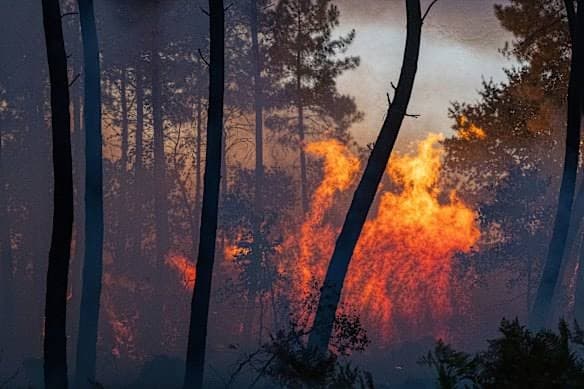 France orders evacuation of tourist spot as hundreds flee wildfires by boat