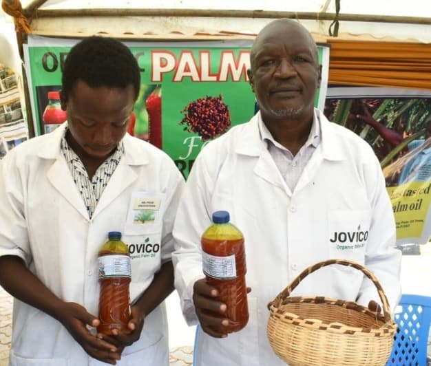Palm oil industry stirs to life, earning Siaya farmer Sh2.4m a year