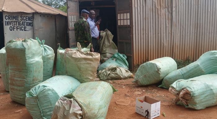 Illicit drugs worth more than Sh50 million intercepted in Busia