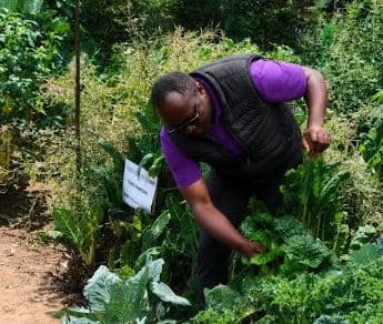 Kakamega opts for low-cost climate smart agriculture