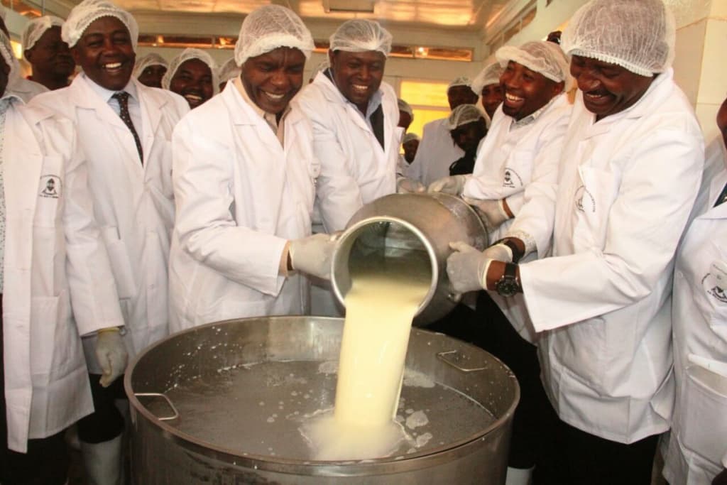 Makueni’s Kikima Dairy plant to save farmers from milk wastages