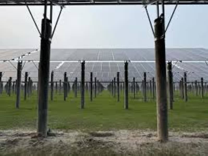 Largest solar farm in Bangladesh to be constructed in Rampal, expects completion by 2030