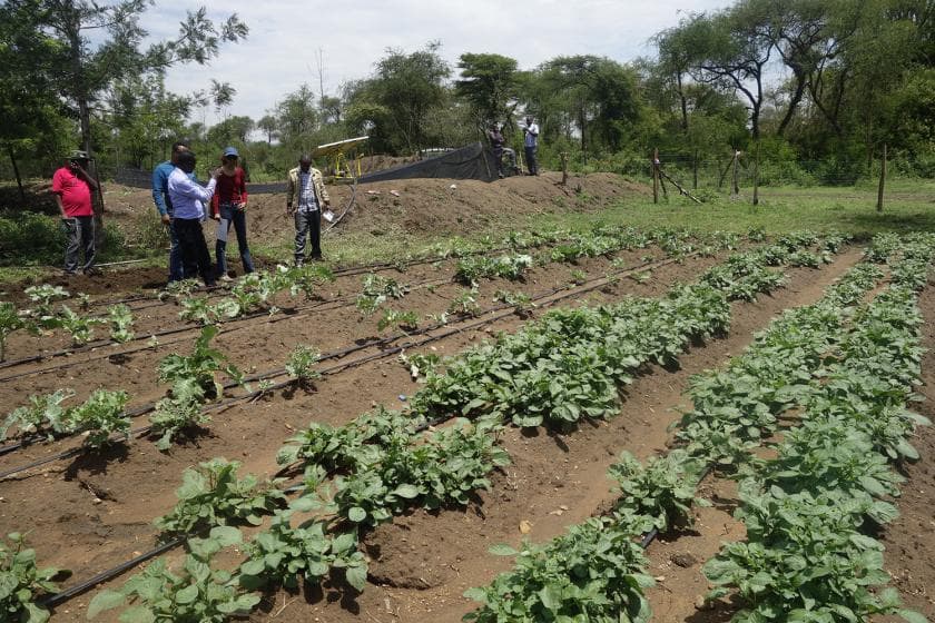 Promising climate options for Ethiopia, Kenya