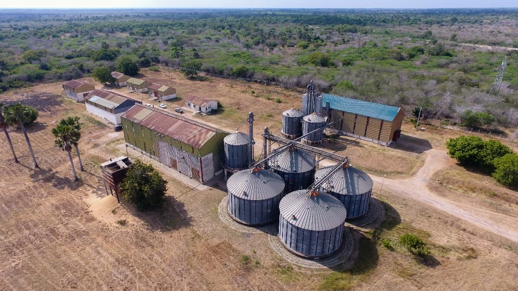 Equity Bank Kenya and Agri All Africa partner to boost rice production in Tana River