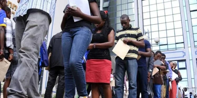 Pharmacy and Poisons Board announces multiple permanent jobs; how to apply