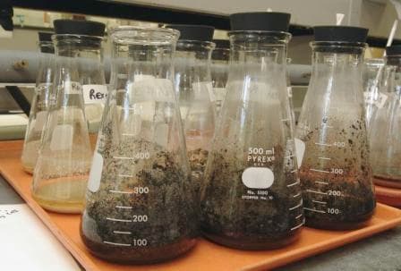 Childhood curiosity births soil testing lab