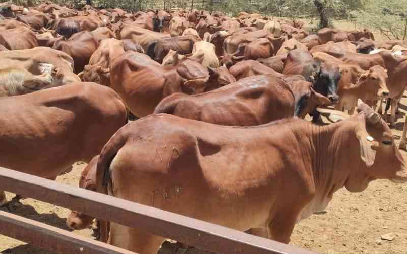 Let’s focus on other sources of Methane emissions not Africa’s indigenous livestock