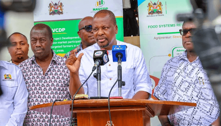 Govt to import 25 million bags of maize to plug supply deficit