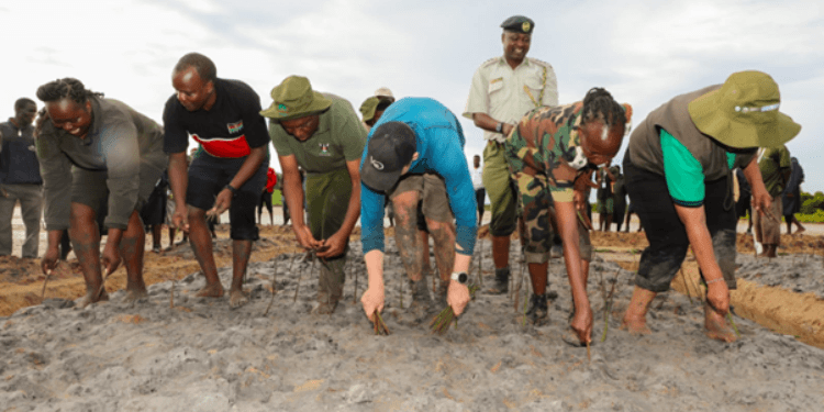Jomvu Takes Global Spotlight with Guinness World Record Win