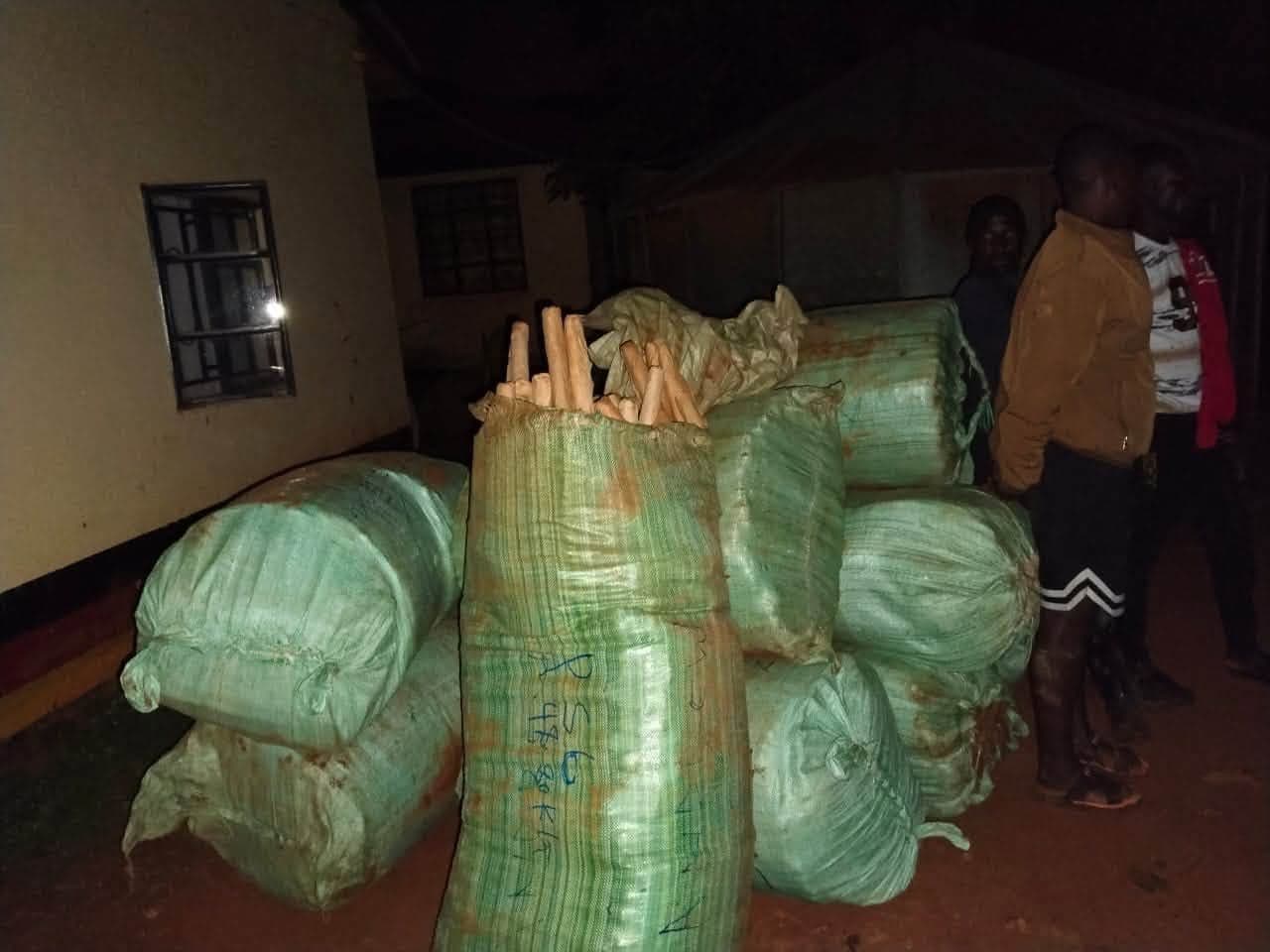 Detectives seize Sh23.4 million cannabis consignment, arrest three in Busia