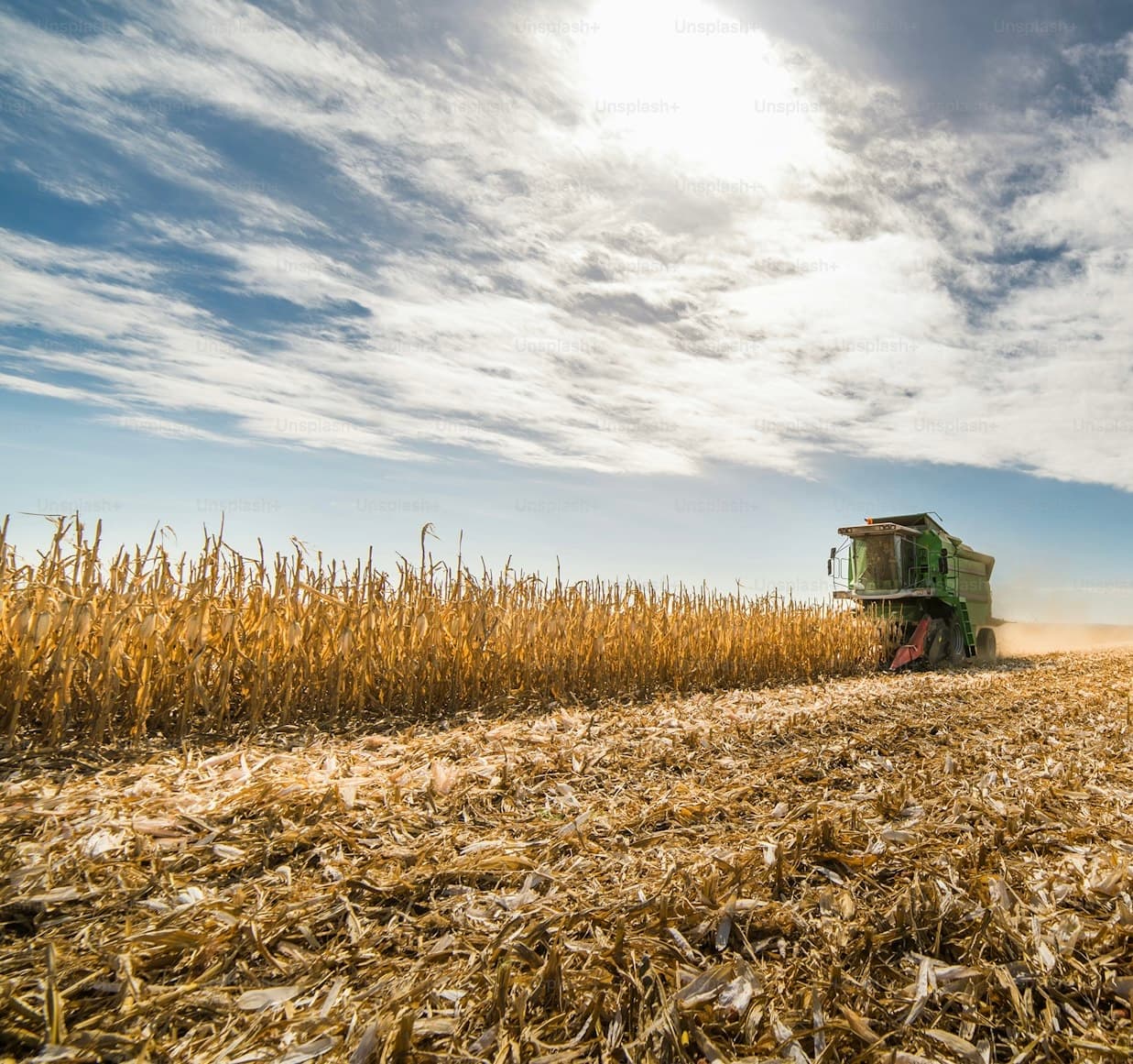 Heat surge makes temperature and humidity measures urgent to maintain yields