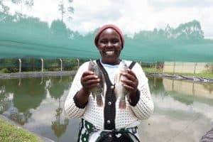 Climate action helps boost food security, nutrition in Bomet