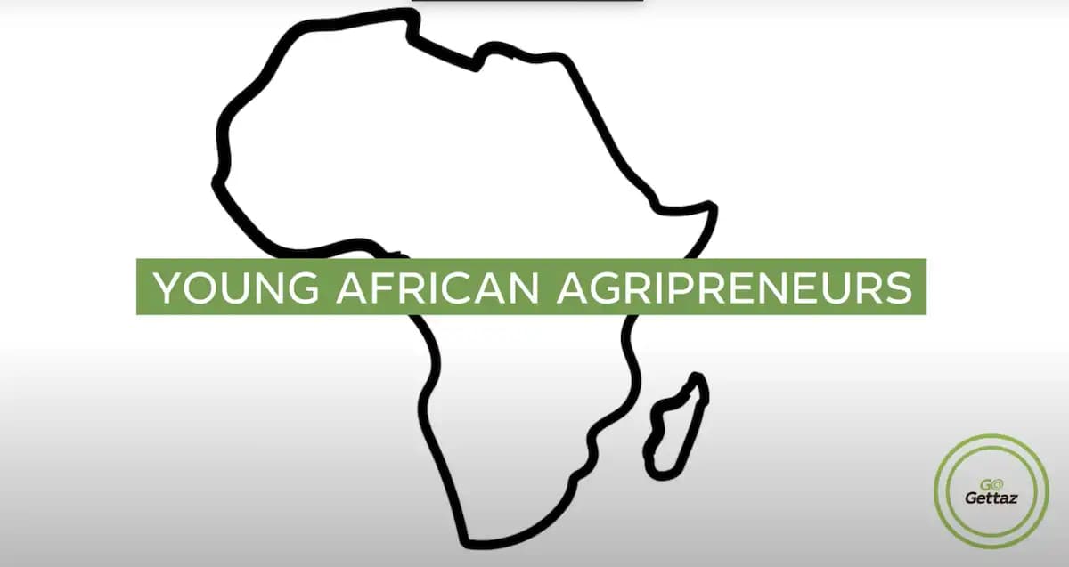 Applications Open for the 2025 GoGettaz Agripreneur Prize: $160,000 Up for Grabs
