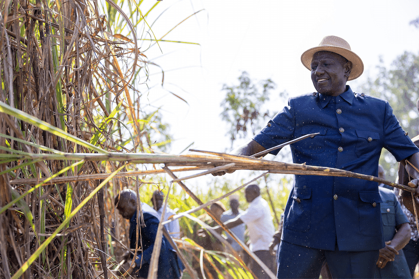 Governor Makes Passionate Appeal on Mumias Sugar Revival