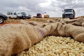 Why Africa spends US$35 billion per year on importing food
