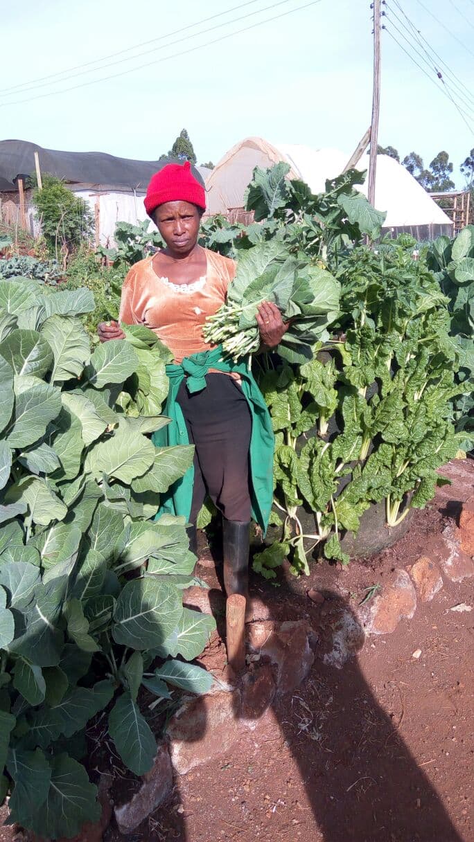 NGO helps urban farmers plant vegetables in their balconies and backyards