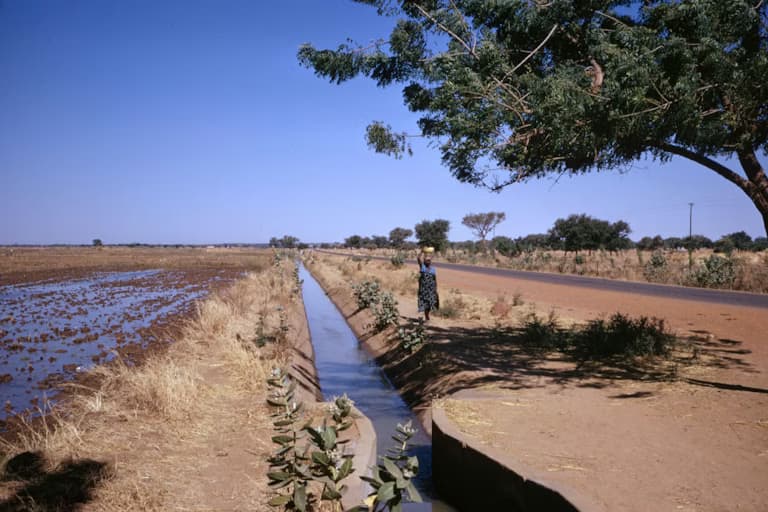 World Bank Report Flags Risks in Africa’s Mega-Irrigation Projects