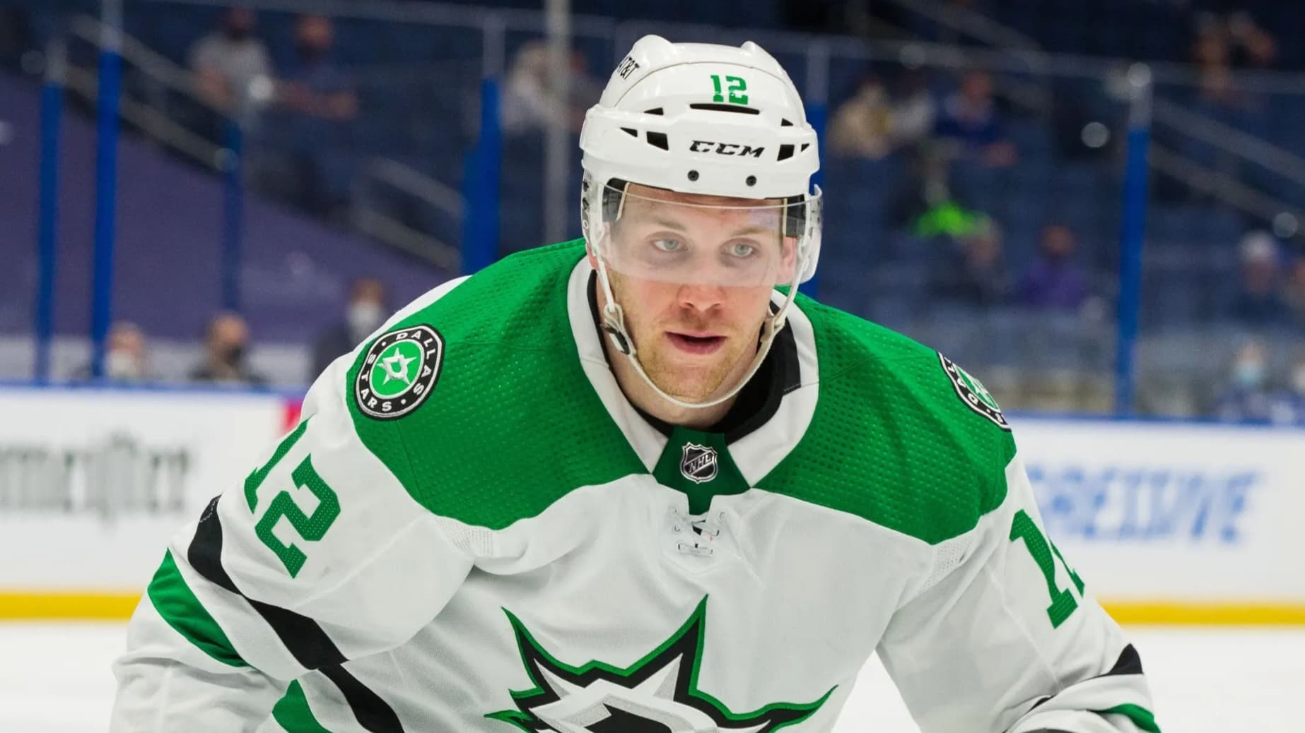Radek Faksa Siblings: Getting to Know Martin Faksa