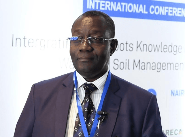 Sustainable soil, water management key to Africa’s agri-food future