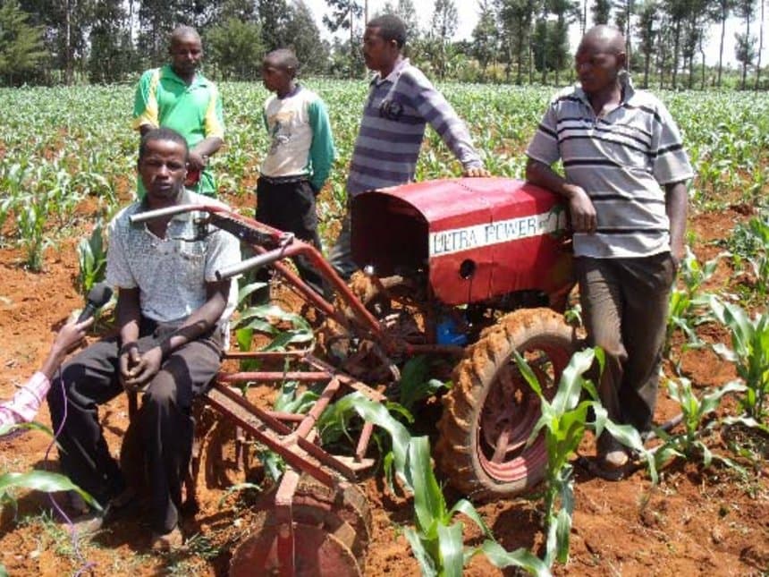Applying aflasafe chemical two to three weeks ahead of maize flowering stops aflatoxin