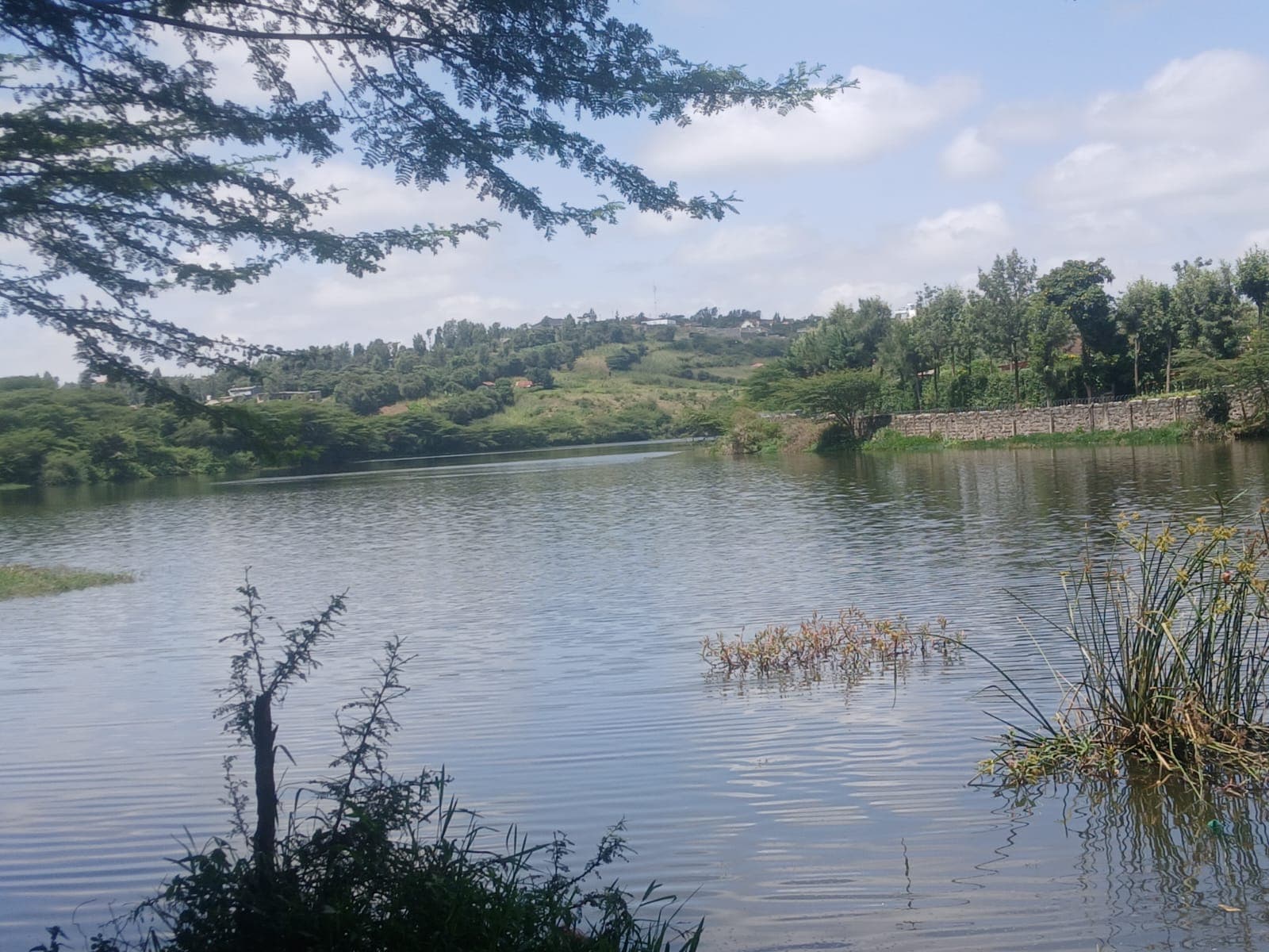 Kiserian Dam sparks agricultural growth in Kajiado