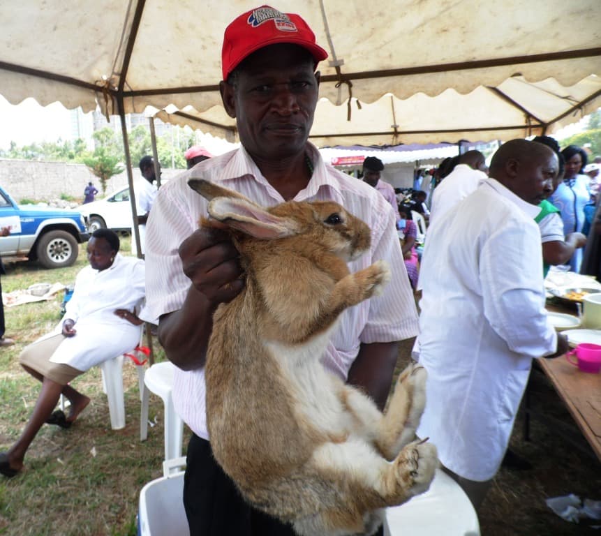 Rabbit market crops up in Kiambu