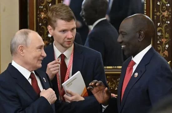 Russia-Africa agricultural ties key to strengthening food security, says analyst