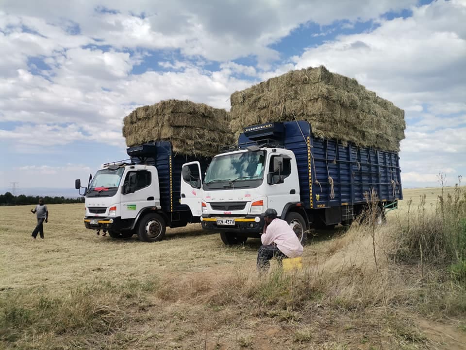 Farmers cash in on emerging hay and cattle delivery sub-sector