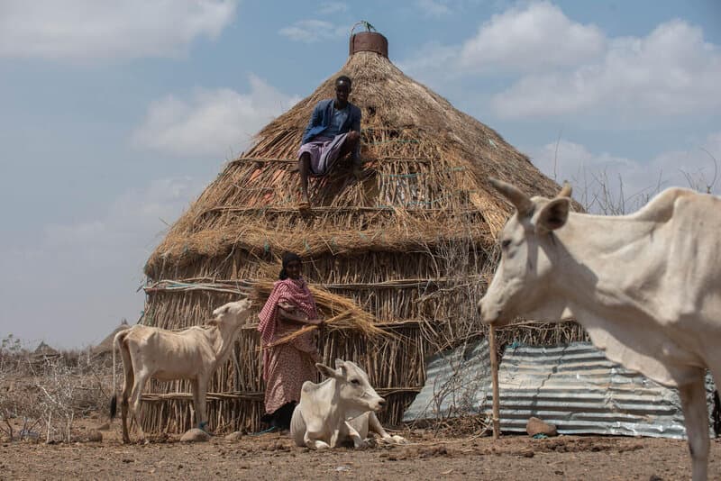 WFP warns 13M people face severe drought in Kenya, Ethiopia & Somalia