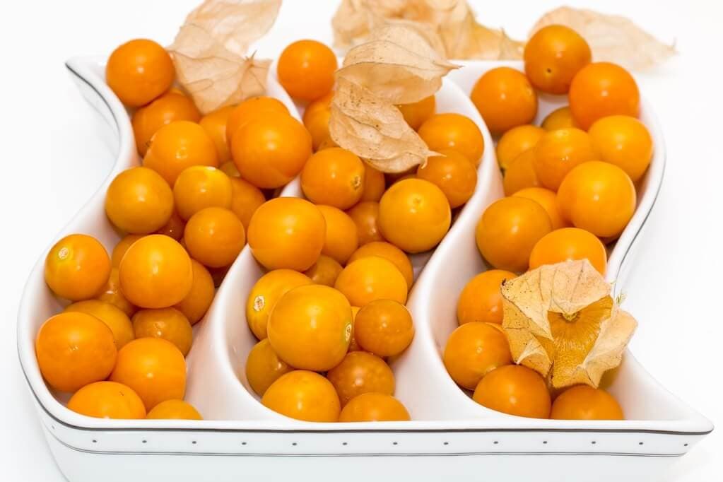 The Cape Gooseberry is a ‘wild’ fruit that could be used to treat cancer